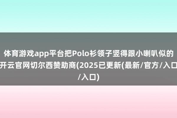 体育游戏app平台把Polo衫领子竖得跟小喇叭似的-开云官网切尔西赞助商(2025已更新(最新/官方/入口)