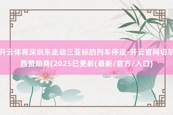开云体育深圳东走动三亚标的列车停运-开云官网切尔西赞助商(2025已更新(最新/官方/入口)