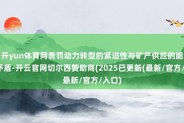 开yun体育网责罚动力转型的紧迫性与矿产供应的脆弱性矛盾-开云官网切尔西赞助商(2025已更新(最新/官方/入口)
