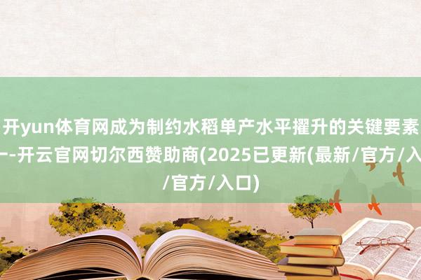 开yun体育网成为制约水稻单产水平擢升的关键要素之一-开云官网切尔西赞助商(2025已更新(最新/官方/入口)